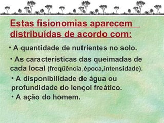 • A disponibilidade de água ou
profundidade do lençol freático.
• A ação do homem.
Estas fisionomias aparecem
distribuídas de acordo com:
• A quantidade de nutrientes no solo.
• As características das queimadas de
cada local (freqüência,época,intensidade).
 