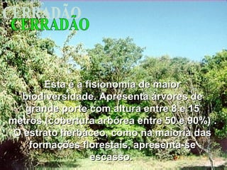 Esta é a fisionomia de maiorEsta é a fisionomia de maior
biodiversidade. Apresenta árvores debiodiversidade. Apresenta árvores de
grande portegrande porte com altura entre 8 e 15com altura entre 8 e 15
metros (cobertura arbórea entre 50 e 90%)metros (cobertura arbórea entre 50 e 90%) ..
O estrato herbáceo, como na maioria dasO estrato herbáceo, como na maioria das
formações florestais, apresenta-seformações florestais, apresenta-se
escasso.escasso.
 