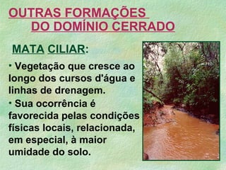 OUTRAS FORMAÇÕES
DO DOMÍNIO CERRADO
MATA CILIAR:
• Sua ocorrência é
favorecida pelas condições
físicas locais, relacionada,
em especial, à maior
umidade do solo.
• Vegetação que cresce ao
longo dos cursos d'água e
linhas de drenagem.
 