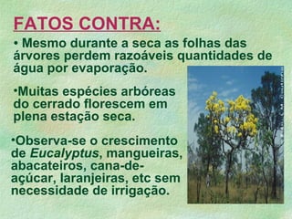 •Observa-se o crescimento
de Eucalyptus, mangueiras,
abacateiros, cana-de-
açúcar, laranjeiras, etc sem
necessidade de irrigação.
FATOS CONTRA:
• Mesmo durante a seca as folhas das
árvores perdem razoáveis quantidades de
água por evaporação.
•Muitas espécies arbóreas
do cerrado florescem em
plena estação seca.
 