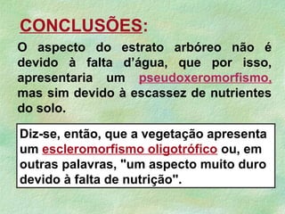 O aspecto do estrato arbóreo não é
devido à falta d’água, que por isso,
apresentaria um pseudoxeromorfismo,
mas sim devido à escassez de nutrientes
do solo.
Diz-se, então, que a vegetação apresenta
um escleromorfismo oligotrófico ou, em
outras palavras, "um aspecto muito duro
devido à falta de nutrição".
CONCLUSÕES:
 