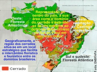 Representado no
centro do país, a sua
área corre o domínio
do cerrado e estende-
se de um extremo ao
outro do Mato Grosso
do Sul ao Piauí em
seu eixo maior.
Sul e sudeste:
Floresta Atlântica
Leste:
vegetação
de Caatinga
nordestina
Oeste:
Floresta
Amazônica
Geograficamente, a
região dos cerrados
situa-se em um local
estratégico que facilita
o intercâmbio florístico
e faunístico entre os
domínios brasileiros.
 