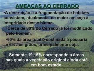 •A destruição e a fragmentação de habitats
consistem, atualmente, na maior ameaça à
integridade desse bioma.
•Cerca de 80% do Cerrado já foi modificado
pelo homem.
Somente 19,15% corresponde a áreas
nas quais a vegetação original ainda está
em bom estado.
•60% da área total é destinada à pecuária
e 6% aos grãos, principalmente soja..
AMEAÇAS AO CERRADOAMEAÇAS AO CERRADO
 