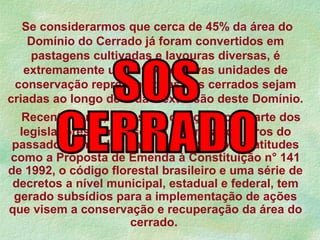 Recentemente, uma série de ações por parte dos
legisladores tem buscado amenizar os erros do
passado cometidos para com este bioma, atitudes
como a Proposta de Emenda à Constituição n° 141
de 1992, o código florestal brasileiro e uma série de
decretos a nível municipal, estadual e federal, tem
gerado subsídios para a implementação de ações
que visem a conservação e recuperação da área do
cerrado.
Se considerarmos que cerca de 45% da área do
Domínio do Cerrado já foram convertidos em
pastagens cultivadas e lavouras diversas, é
extremamente urgente que novas unidades de
conservação representativas dos cerrados sejam
criadas ao longo de toda a extensão deste Domínio.
 