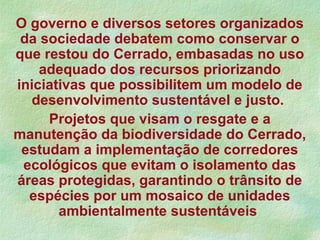 O governo e diversos setores organizados
da sociedade debatem como conservar o
que restou do Cerrado, embasadas no uso
adequado dos recursos priorizando
iniciativas que possibilitem um modelo de
desenvolvimento sustentável e justo.
Projetos que visam o resgate e a
manutenção da biodiversidade do Cerrado,
estudam a implementação de corredores
ecológicos que evitam o isolamento das
áreas protegidas, garantindo o trânsito de
espécies por um mosaico de unidades
ambientalmente sustentáveis
 