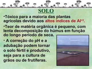 •Tóxico para a maioria das plantas
agrícolas devido aos altos índices de Al+3
.
•Teor de matéria orgânica é pequeno, com
lenta decomposição do húmus em função
do longo período de seca.
SOLO
• A correção do pH e a
adubação podem tornar
o solo fértil e produtivo,
seja para a cultura de
grãos ou de frutíferas.
 