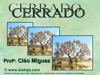 CERRADO Prof a :  Cléo Miguez ©  www.bioloja.com Direitos autorais reservados. Reprodução e distribuição somente mediante autorização . 