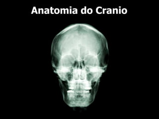 Anatomia do Cranio
 