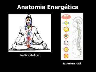 Anatomia Energética




Nadis e chakras


                  Sushumna nadi
 