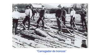 “Carregador de troncos”
 