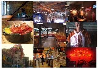 PROJETO THE KING CRAB ALBATROZ 