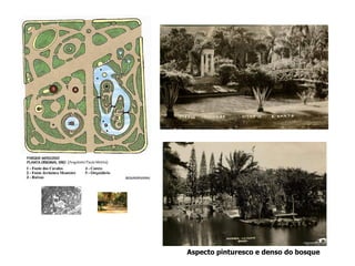 Aspecto pinturesco e denso do bosque
 