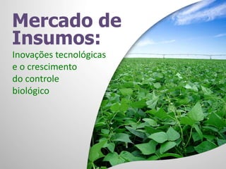 Mercado de
Insumos:
Inovações tecnológicas
e o crescimento
do controle
biológico
 