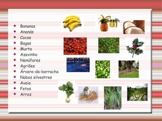 Bananas Ananás Cocos Bagas Murta Azevinho Nenúfares Agriões Árvore-da-borracha Nabos silvestres Aveia Fetos Arroz