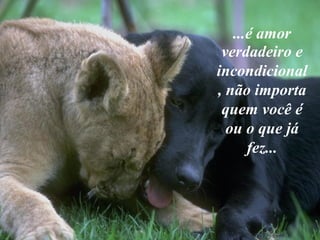 ...é amor
verdadeiro e
incondicional
, não importa
quem você é
ou o que já
fez...

 
