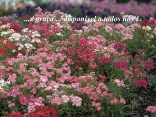 ...é graça ... disponível a todos nós !
 