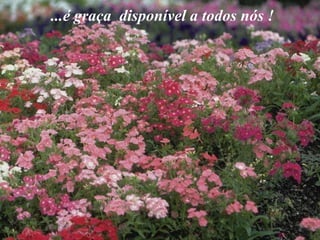 ...é graça  disponível a todos nós !  