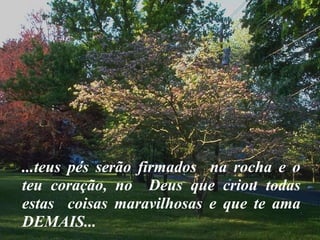 ...teus pés serão firmados  na rocha e o teu coração, no  Deus que criou todas estas  coisas maravilhosas e que te ama DEMAIS... 
