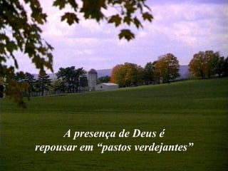 A presença de Deus é repousar em “pastos verdejantes” 