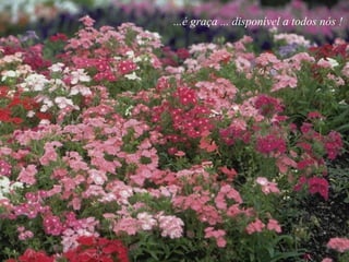 ...é graça ... disponível a todos nós !
 