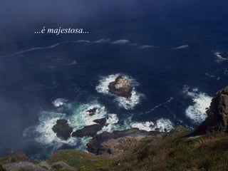 ...é majestosa...
 
