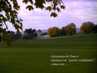 A presença de Deus é
repousar em “pastos verdejantes”,
como este....
 