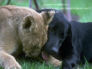 ...é amor verdadeiro e
incondicional, não importa quem você é
ou o que já fez...
 