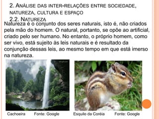 2. ANÁLISE DAS INTER-RELAÇÕES ENTRE SOCIEDADE,
  NATUREZA, CULTURA E ESPAÇO
  2.2. NATUREZA
Natureza é o conjunto dos seres naturais, isto é, não criados
pela mão do homem. O natural, portanto, se opõe ao artificial,
criado pelo ser humano. No entanto, o próprio homem, como
ser vivo, está sujeito às leis naturais e é resultado da
conjunção dessas leis, ao mesmo tempo em que está imerso
na natureza.

                                         v




 Cachoeira   Fonte: Google   Esquilo da Coréia   Fonte: Google
 