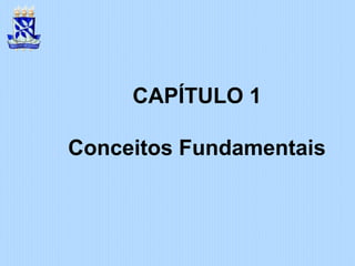 CAPÍTULO 1
Conceitos Fundamentais
 