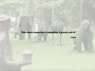 “Não basta conquistar a sabedoria, é preciso usá-la”
                                               Cícero
 