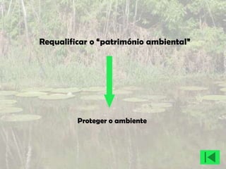 Requalificar o “património ambiental”

1.Requalificar o “património ambiental”

               Objectivos


            Proteger o ambiente
 