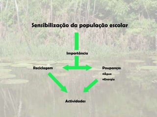Sensibilização da população escolar



             Importância


Reciclagem                 Poupança:
                           •Água
                           •Energia




             Actividades
 