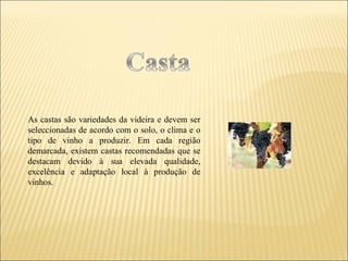As castas são variedades da videira e devem ser seleccionadas de acordo com o solo, o clima e o tipo de vinho a produzir. Em cada região demarcada, existem castas recomendadas que se destacam devido à sua elevada qualidade, excelência e adaptação local à produção de vinhos. 