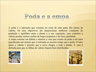 A poda é a operação que consiste no corte de uma parte dos ramos da videira. Os seus objectivos são proporcionar melhores condições de produção e equilíbrio entre a planta e a sua vegetação, caso contrário a videira produz muitos cachos de bagos pequenos e de fraca qualidade.  A empa consiste em dobrar e amarrar a vara que resulta da poda a um tutor (geralmente um arame) que é realizada ao mesmo tempo que a poda. O tutor apoia a videira e permite que a seiva chegue a toda a planta. A vara é dobrada para que as folhas da videira fiquem bem distribuídas.  