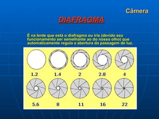 Câmera DIAFRAGMA É na lente que está o diafragma ou íris (devido seu funcionamento ser semelhante ao do nosso olho) que automaticamente regula a abertura da passagem de luz.   