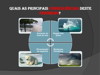  Quais as principais CONSEQUÊNCIAS deste fenómeno?
