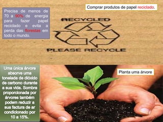 Comprar produtos de papel reciclado.Precisa de menos de 70 a 90% de  energia para fazer papel reciclado e evita a perda das florestas em todo o mundo.Uma única árvore absorve uma tonelada de dióxido de carbono durante a sua vida. Sombra proporcionada por árvores também podem reduzir a sua factura de ar condicionado por 10 a 15%.Planta uma árvore