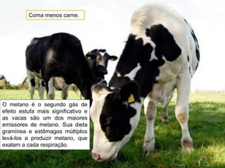 Coma menos carne.O metano é o segundo gás de efeito estufa mais significativo e as vacas são um dos maiores emissores de metano. Sua dieta gramínea e estômagos múltiplos levá-los a produzir metano, que exalam a cada respiração.