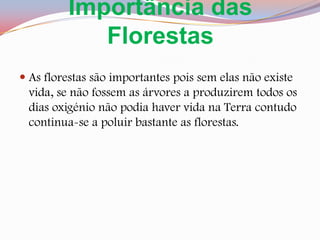Importância das FlorestasAs florestas são importantes pois sem elas não existe vida, se não fossem as árvores a produzirem todos os dias oxigénio não podia haver vida na Terra contudo continua-se a poluir bastante as florestas.