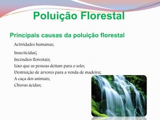 Poluição FlorestalPrincipais causas da poluição florestalActividades humanas;    Insecticidas;    Incêndios florestais;    Lixo que as pessoas deitam para o solo;    Destruição de árvores para a venda de madeira;    A caça dos animais;    Chuvas ácidas;