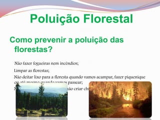 Poluição FlorestalComo prevenir a poluição das florestas?Não fazer fogueiras nem incêndios;    Limpar as florestas;    Não deitar lixo para a floresta quando vamos acampar, fazer piquenique ou até mesmo quando vamos passear;    Não poluir a atmosfera para não criar chuvas ácidas.