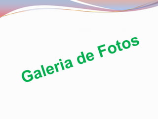 Galeria de Fotos