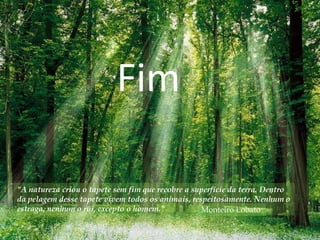 Fim

"A natureza criou o tapete sem fim que recobre a superfície da terra. Dentro
da pelagem desse tapete vivem todos os animais, respeitosamente. Nenhum o
estraga, nenhum o rói, excepto o homem."           Monteiro Lobato
 