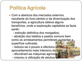 Com a abertura dos mercados externos, resultante do livre-câmbio e da dinamização dos transportes, a agricultura obteve alguns benefícios, onde a exploração capitalista se fazia sentir:  - extinção definitiva dos morgadios; - abolição dos baldios e pastos comuns bem como os arroteamentos permitiram aumentar a superfície cultivada; - reduziu-se o pousio e efectuou-se um aproveitamento mais intensivo da terra; - difundiram-se máquinas agrícolas; - cresceu a utilização de adubos químicos;Política Agrícola