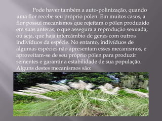 Psicofilia: efetuada por borboletas;