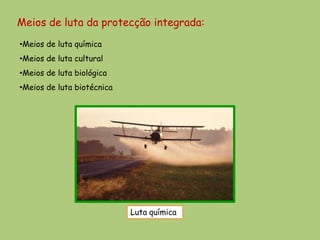 Meios de luta da protecção integrada:
•Meios de luta química
•Meios de luta cultural
•Meios de luta biológica
•Meios de luta biotécnica




                            Luta química
 