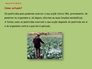 Meios de luta Química


Como actuam?

Os pesticidas para poderem exercer a sua acção tóxica têm, previamente, de
penetrar no organismo e, só depois, afectam as suas funções metabólicas.
A forma como os pesticidas exercem a sua acção depende do pesticida em si
e do organismo contra o qual ele é aplicado.
 
