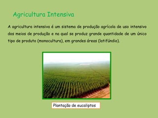 Agricultura Intensiva
A agricultura intensiva é um sistema de produção agrícola de uso intensivo
dos meios de produção e na qual se produz grande quantidade de um único
tipo de produto (monocultura), em grandes áreas (latifúndio).




                        Plantação de eucaliptos
 