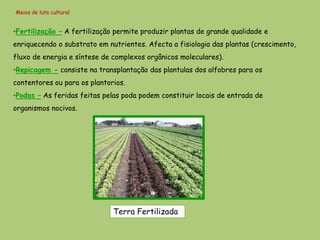 Meios de luta cultural


•Fertilização – A fertilização permite produzir plantas de grande qualidade e
enriquecendo o substrato em nutrientes. Afecta a fisiologia das plantas (crescimento,
fluxo de energia e síntese de complexos orgânicos moleculares).
•Repicagem - consiste na transplantação das plantulas dos alfobres para os
contentores ou para os plantorios.
•Podas – As feridas feitas pelas poda podem constituir locais de entrada de
organismos nocivos.




                              Terra Fertilizada
 