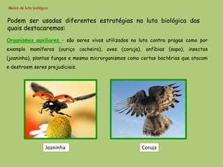 Meios de luta biológica


Podem ser usadas diferentes estratégias na luta biológica das
quais destacaremos:
Organismos auxiliares – são seres vivos utilizados na luta contra pragas como por
exemplo mamíferos (ouriço cacheiro), aves (coruja), anfíbios (sapo), insectos
(joaninha), plantas fungos e mesmo microrganismos como certas bactérias que atacam
e destroem seres prejudiciais.




                     Joaninha                          Coruja
 
